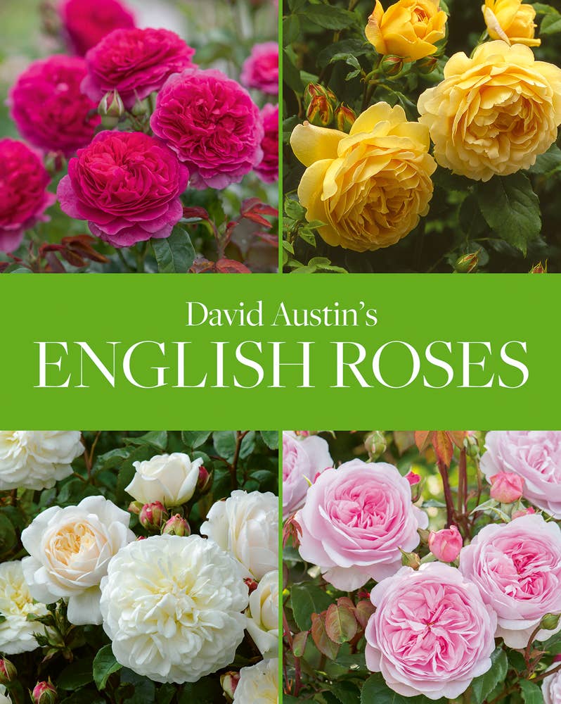 ACC Art Books Ltd - David Austin's English Roses - Home 2 Court